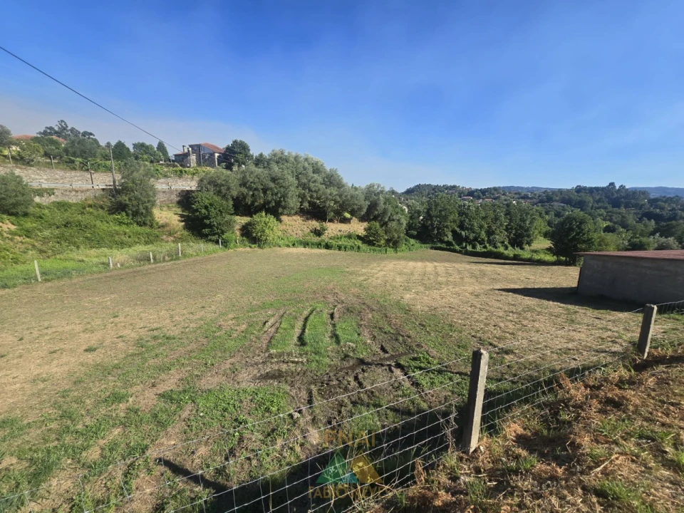 Terreno para Venda em Souto e Tabaçô Foto 10
