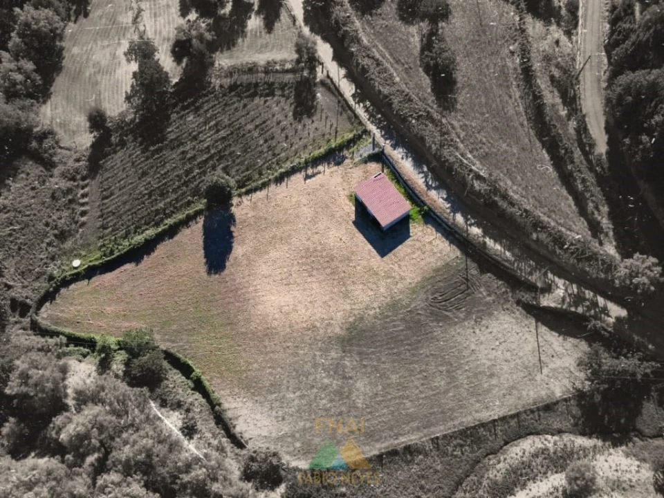 Terreno para Venda em Souto e Tabaçô Foto 4