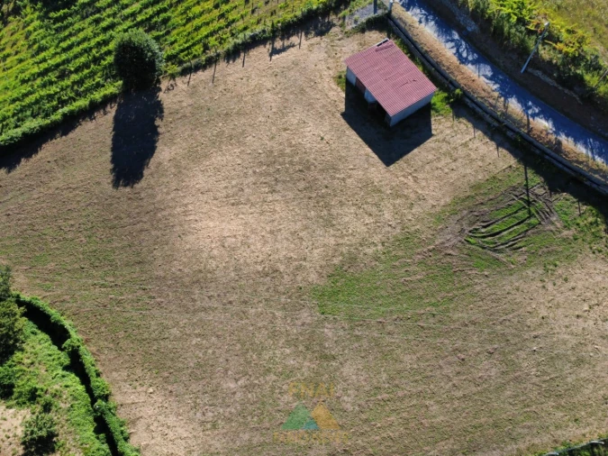Terreno para Venda em Souto e Tabaçô Foto 5