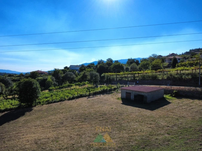 Terreno para Venda em Souto e Tabaçô Foto 2