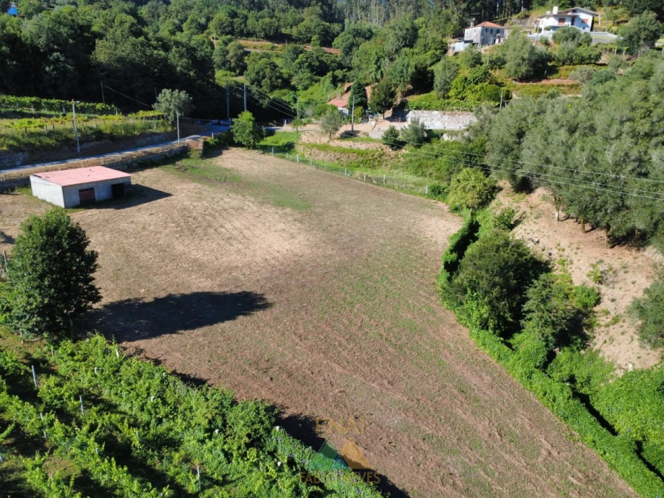 Terreno para Venda em Souto e Tabaçô Foto 3
