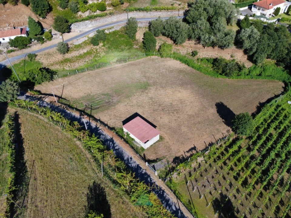 Terreno para Venda em Souto e Tabaçô Foto 5