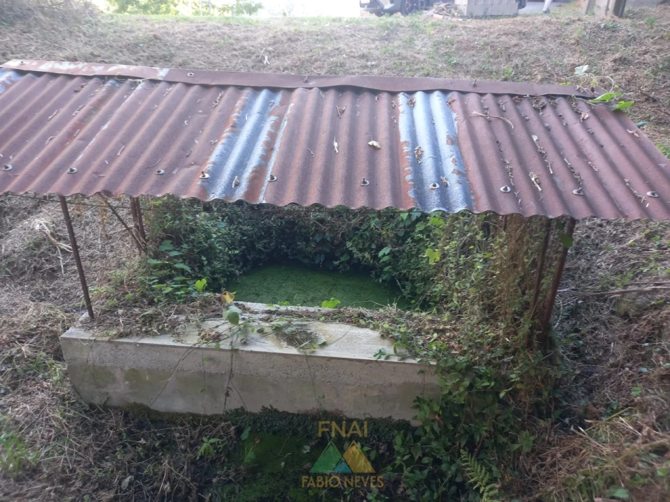 Terreno para Venda em Souto e Tabaçô Foto 8