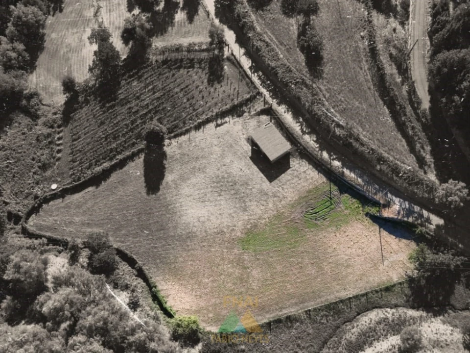 Terreno para Venda em Souto e Tabaçô Foto 4