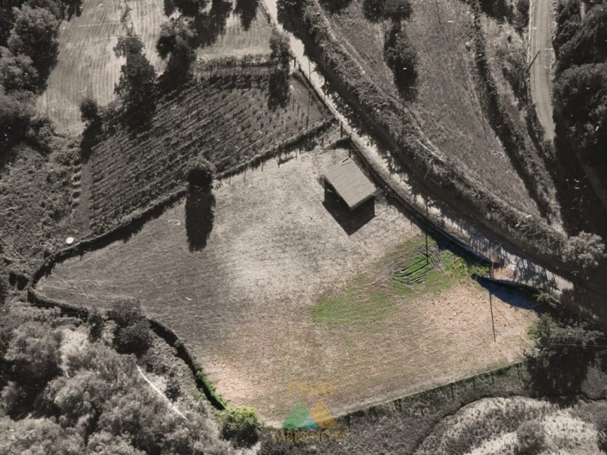 Terreno para Venda em Souto e Tabaçô Foto 4