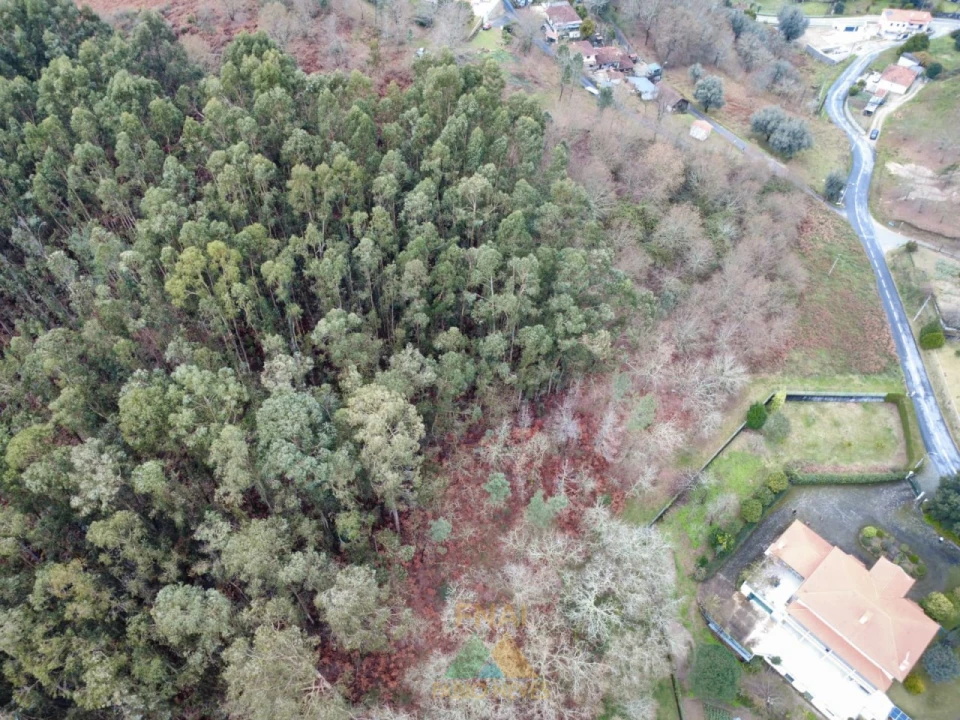 Terreno para Venda em Souto e Tabaçô Foto 12