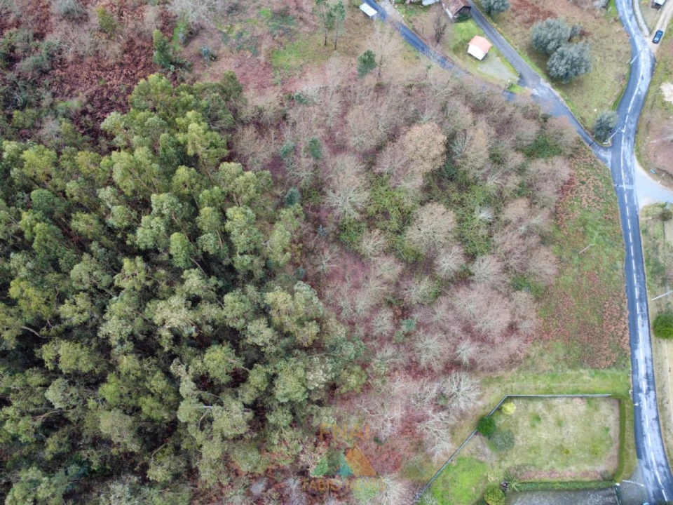 Terreno para Venda em Souto e Tabaçô Foto 14