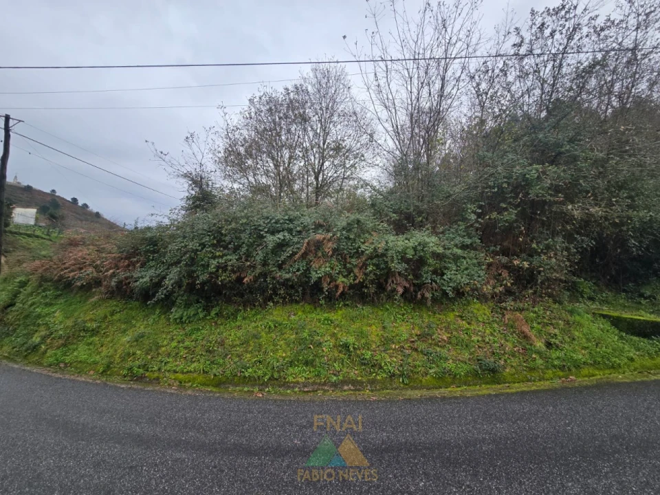 Terreno para Venda em Souto e Tabaçô Foto 6