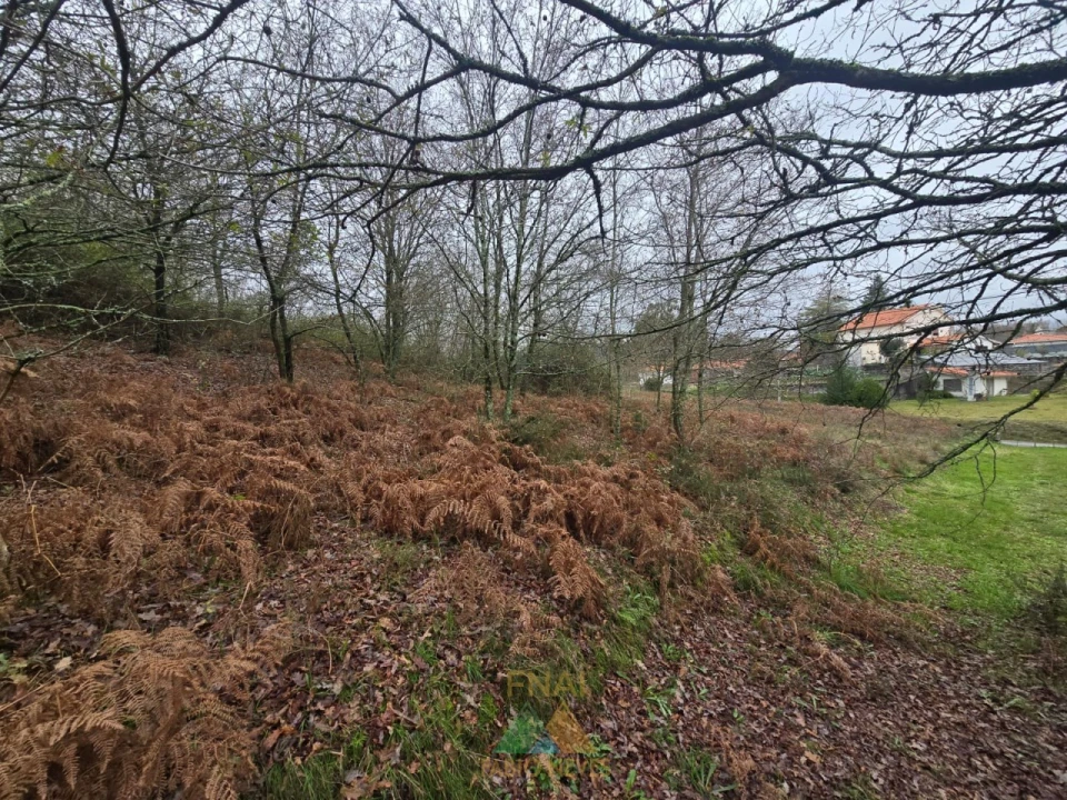 Terreno para Venda em Souto e Tabaçô Foto 9