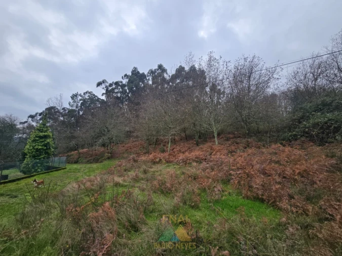 Terreno para Venda em Souto e Tabaçô Foto 2