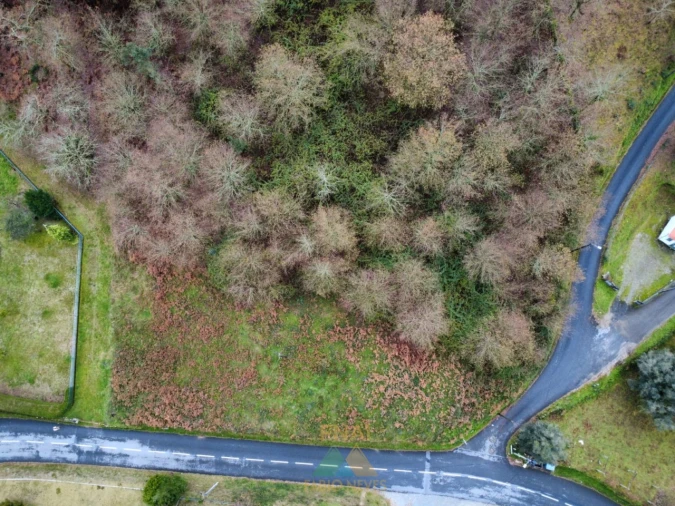 Terreno para Venda em Souto e Tabaçô Foto 13