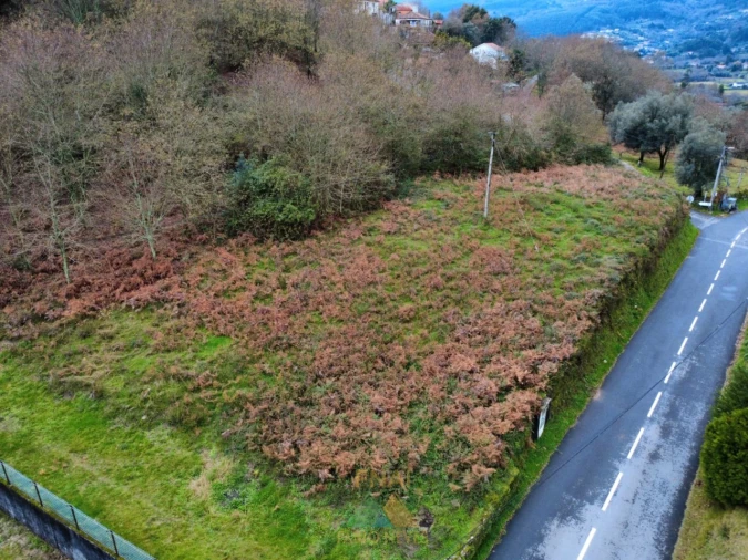 Terreno para Venda em Souto e Tabaçô Foto 5