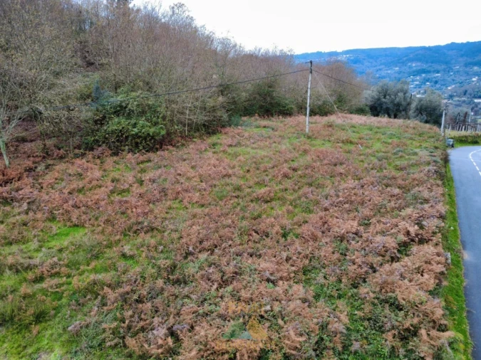 Terreno para Venda em Souto e Tabaçô Foto 4