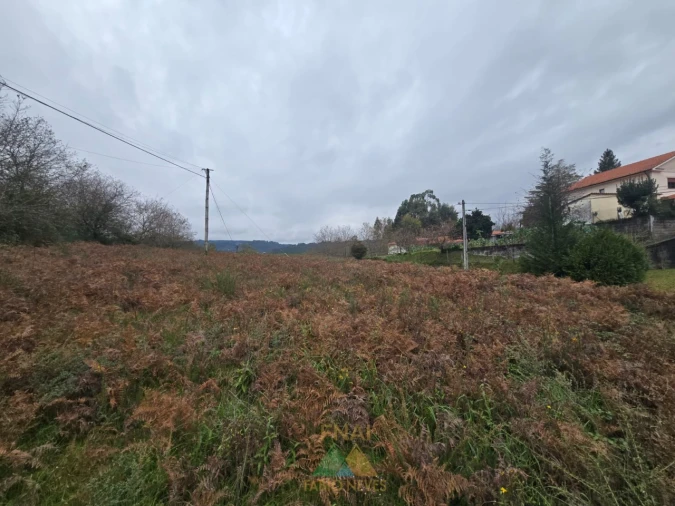 Terreno para Venda em Souto e Tabaçô Foto 3
