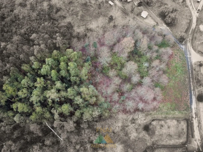 Terreno para Venda em Souto e Tabaçô Foto 11