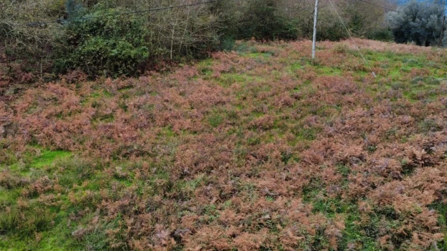 Terreno para Venda em Souto e Tabaçô