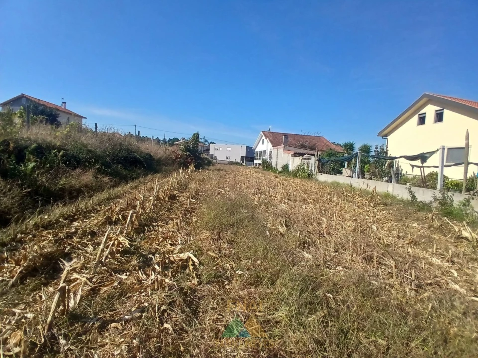 Terreno para Venda em Mazedo e Cortes Foto 3