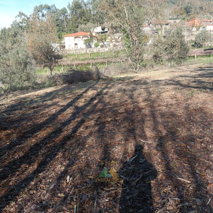 Terreno para Venda em Calheiros Foto 8