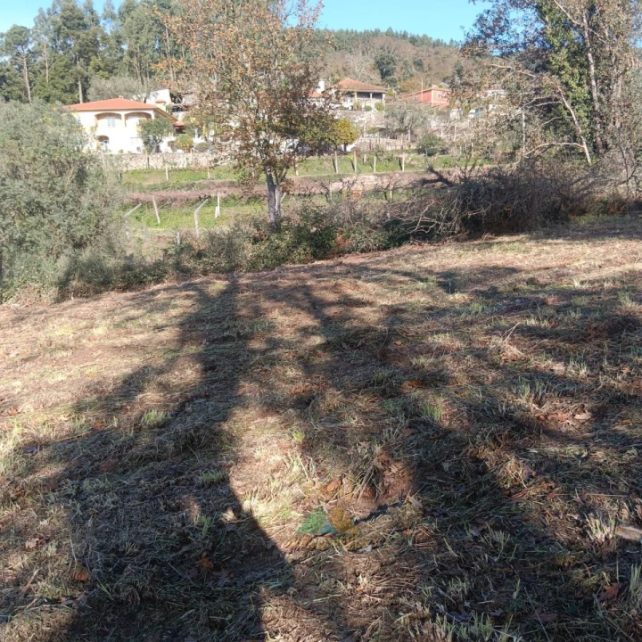 Terreno para Venda em Calheiros Foto 9