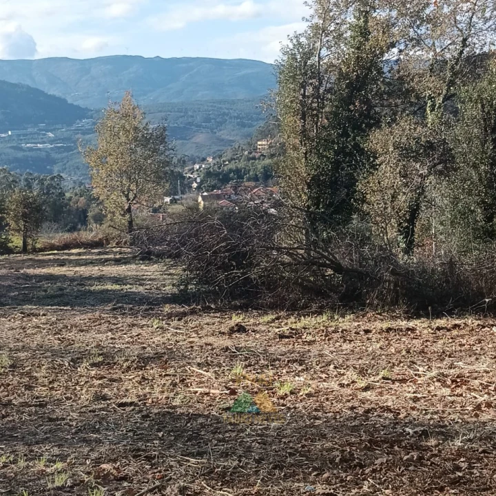 Terreno para Venda em Calheiros Foto 17