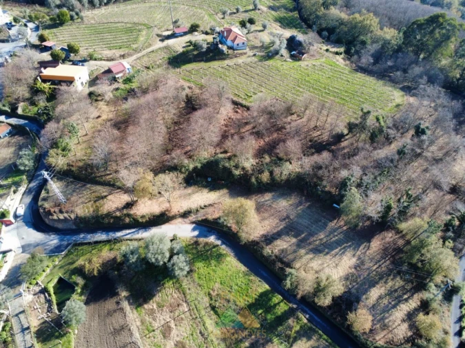 Terreno para Venda em Calheiros Foto 2