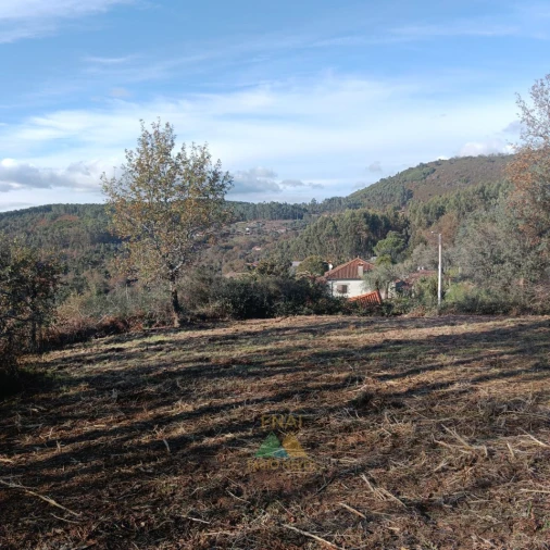 Terreno para Venda em Calheiros Foto 5