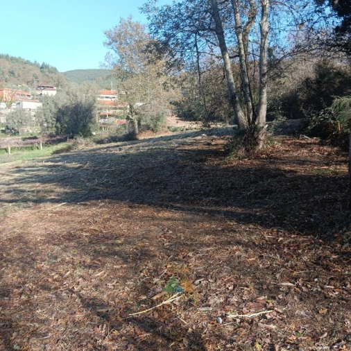 Terreno para Venda em Calheiros Foto 7