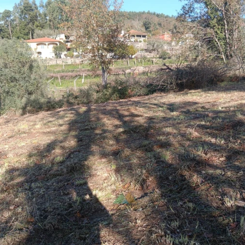 Terreno para Venda em Calheiros Foto 9