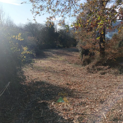 Terreno para Venda em Calheiros Foto 11