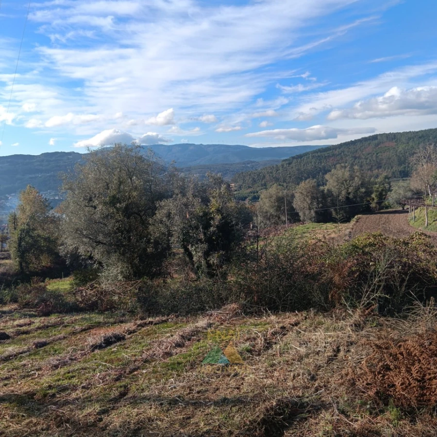 Terreno para Venda em Calheiros Foto 12