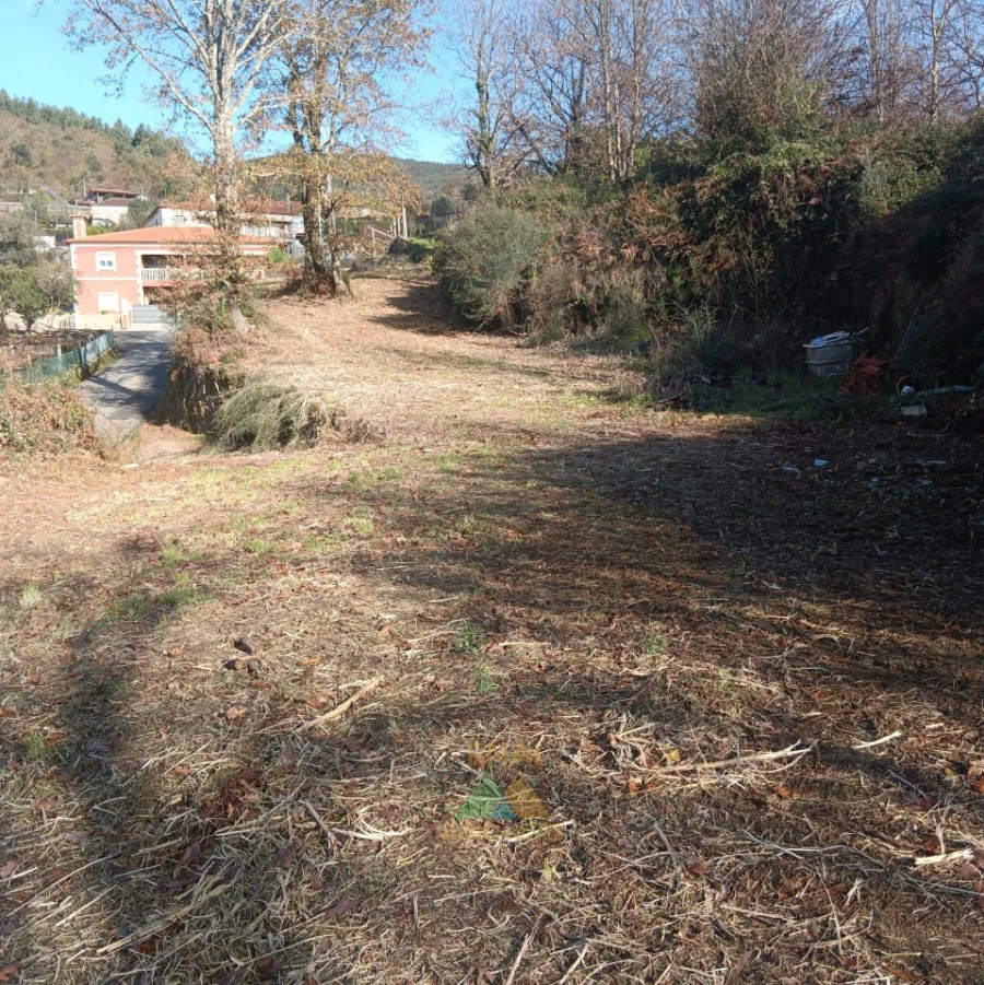 Terreno para Venda em Calheiros Foto 14