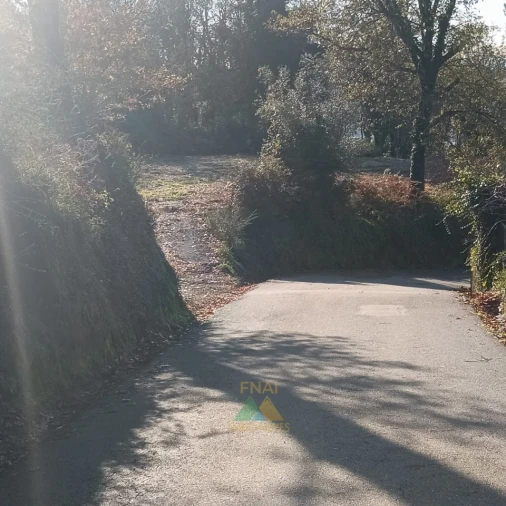 Terreno para Venda em Calheiros Foto 16