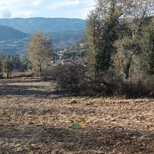 Terreno para Venda em Calheiros Foto 17