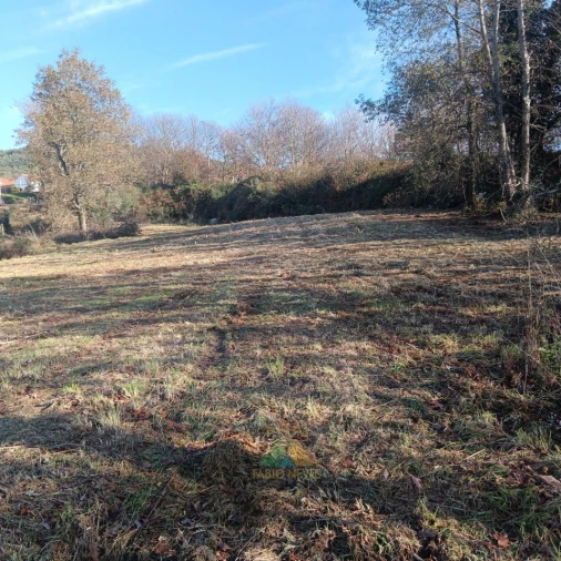 Terreno para Venda em Calheiros Foto 18