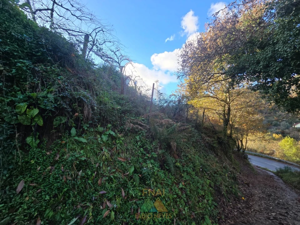 Terreno para Venda em Rio Frio Foto 4