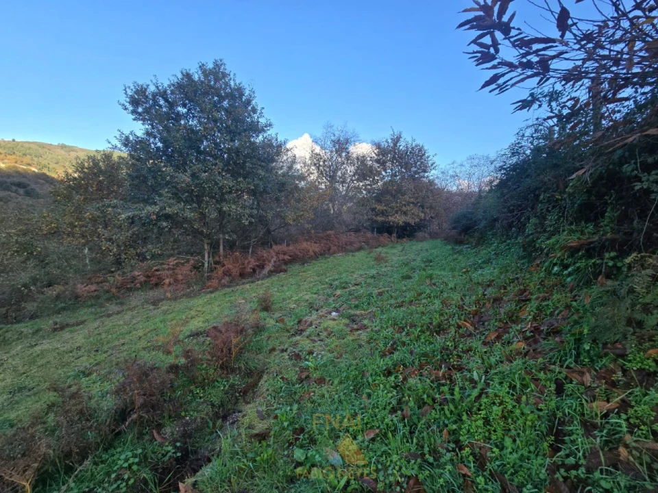 Terreno para Venda em Rio Frio Foto 5