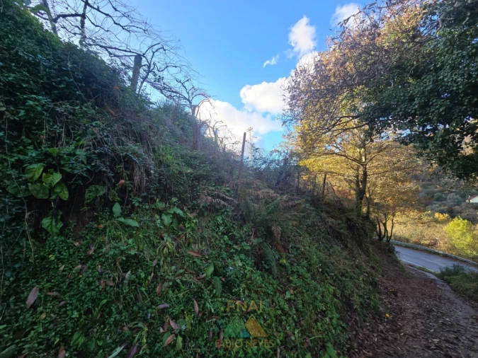 Terreno para Venda em Rio Frio Foto 4