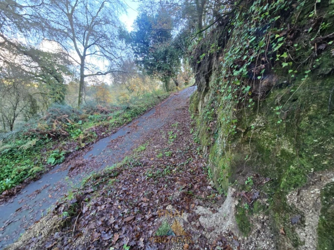 Terreno para Venda em Rio Frio Foto 3