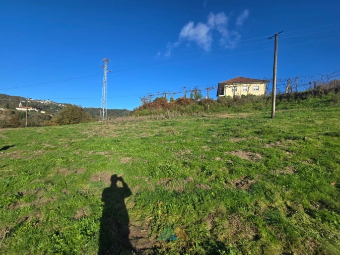 Terreno para Venda em Rio Frio Foto 7