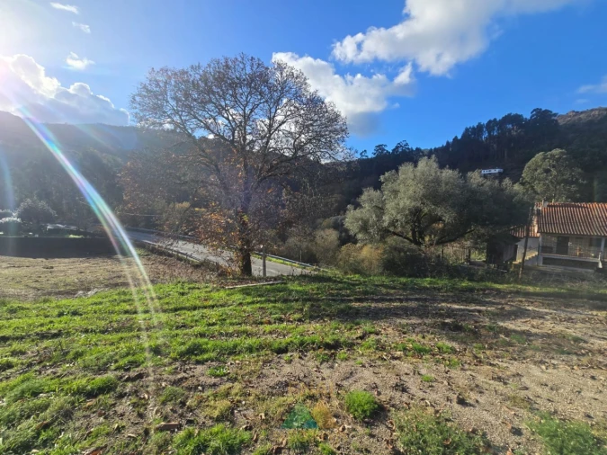 Terreno para Venda em Rio Frio Foto 9