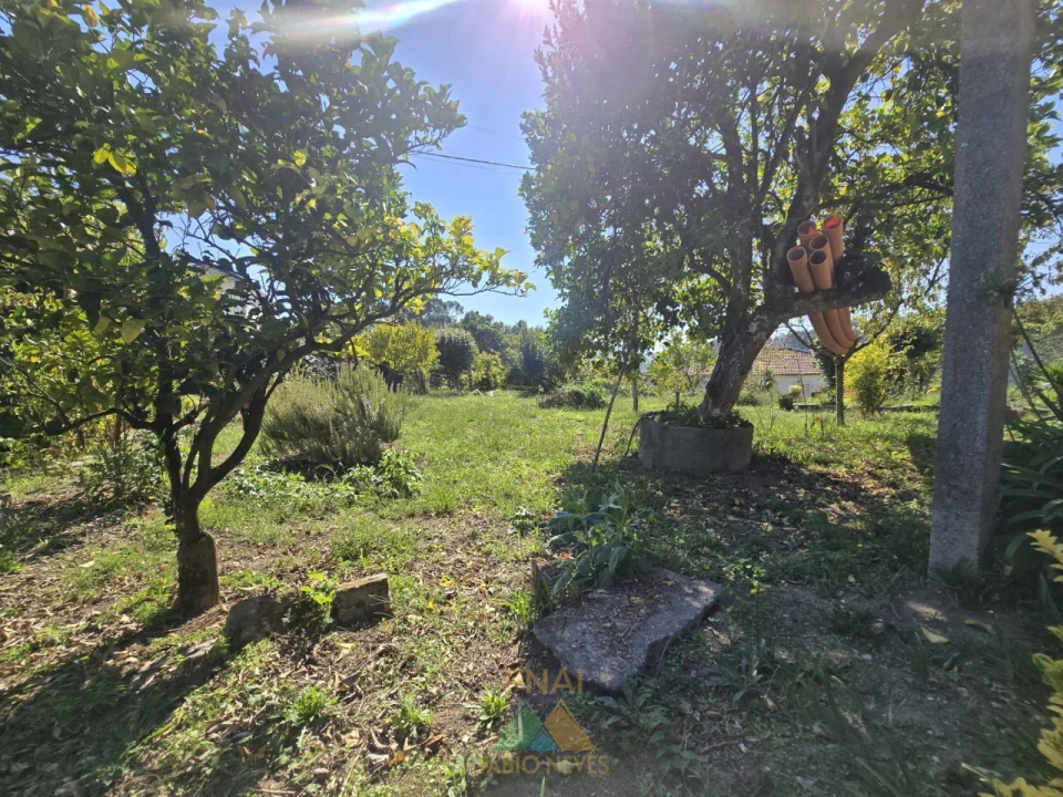 Terreno para Venda em Guilhadeses e Santar Foto 4