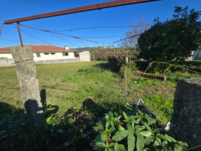 Terreno para Venda em Bela Foto 3