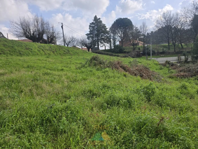 Terreno para Venda em Souto e Tabaçô Foto 12