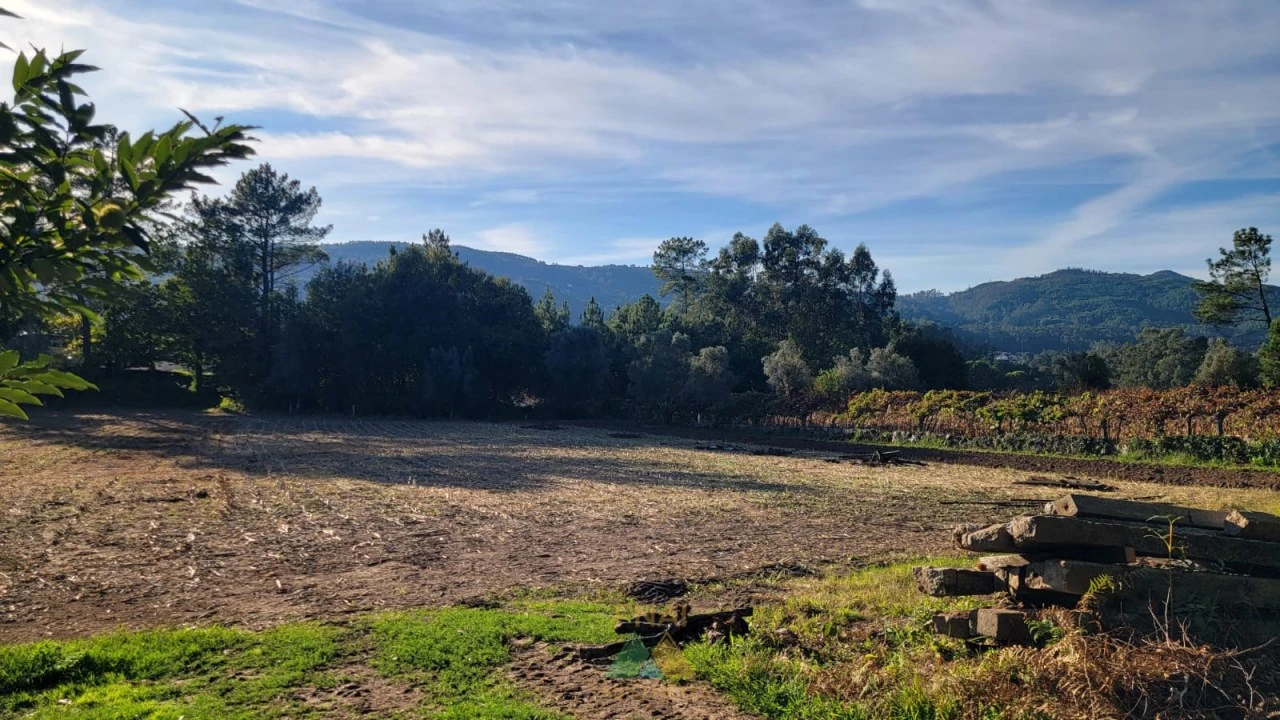 Terreno para Venda em Navió e Vitorino dos Piães Foto 1