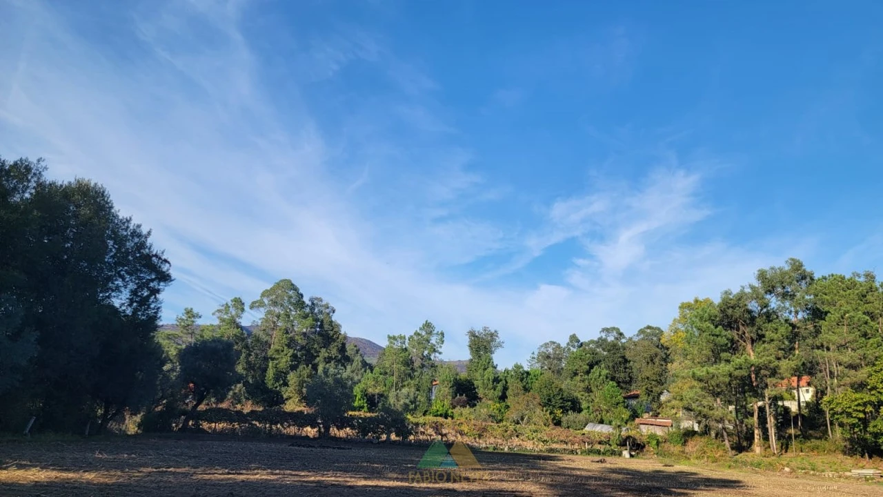 Terreno para Venda em Navió e Vitorino dos Piães Foto 2