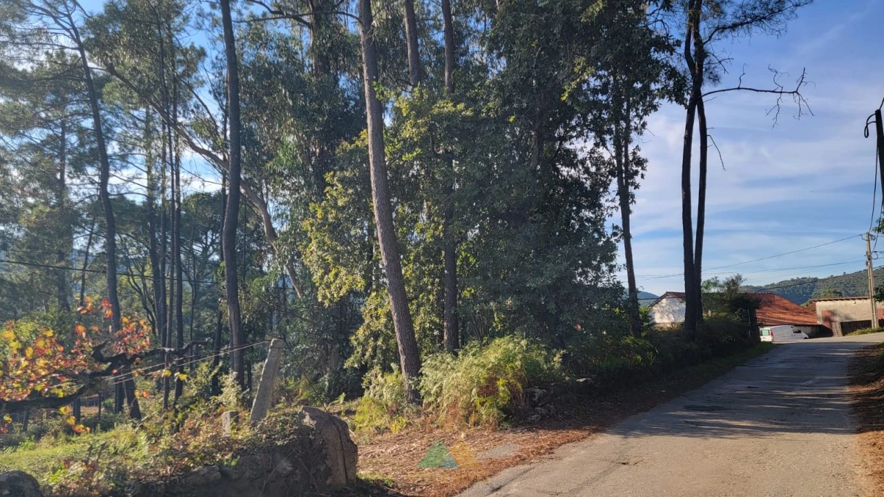 Terreno para Venda em Navió e Vitorino dos Piães Foto 4