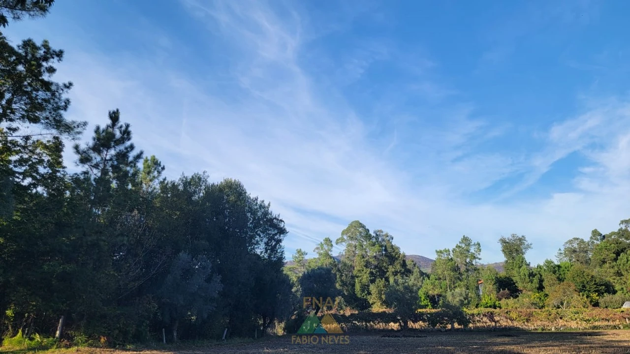 Terreno para Venda em Navió e Vitorino dos Piães Foto 5