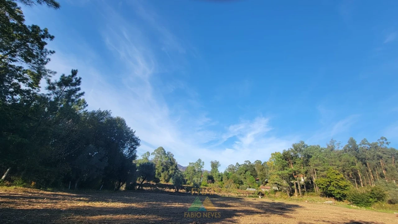 Terreno para Venda em Navió e Vitorino dos Piães Foto 9