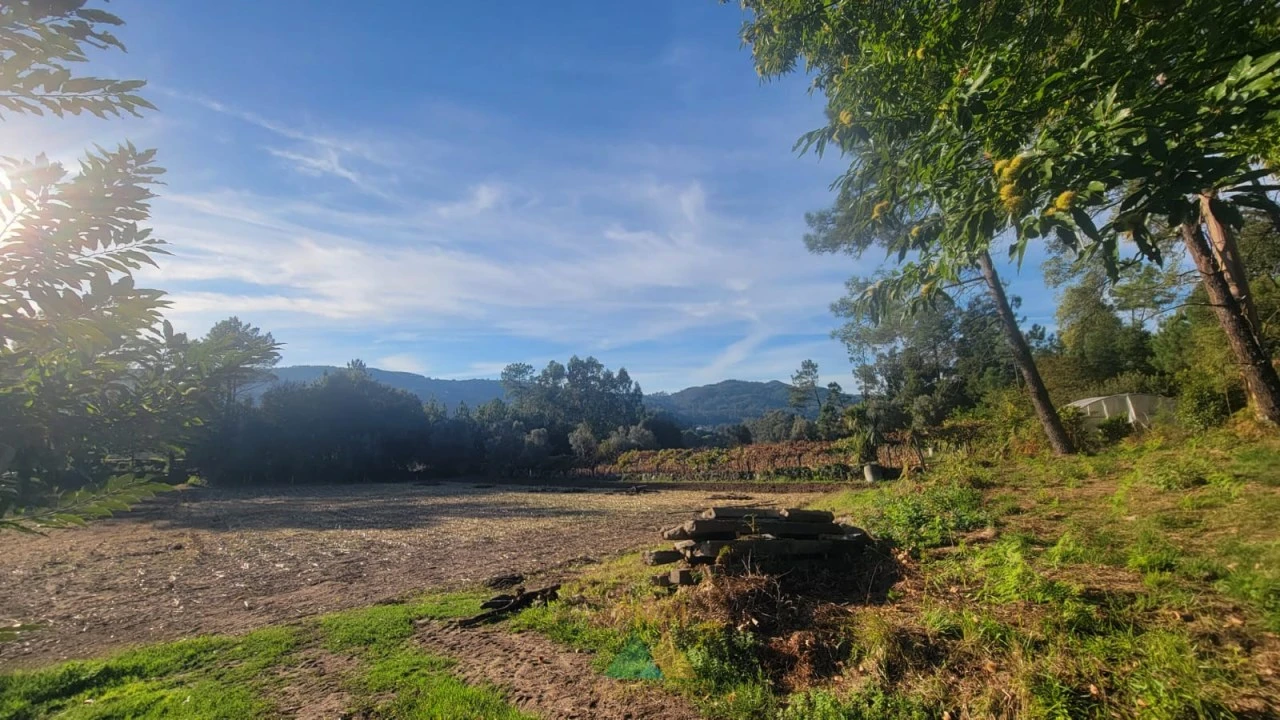 Terreno para Venda em Navió e Vitorino dos Piães Foto 11