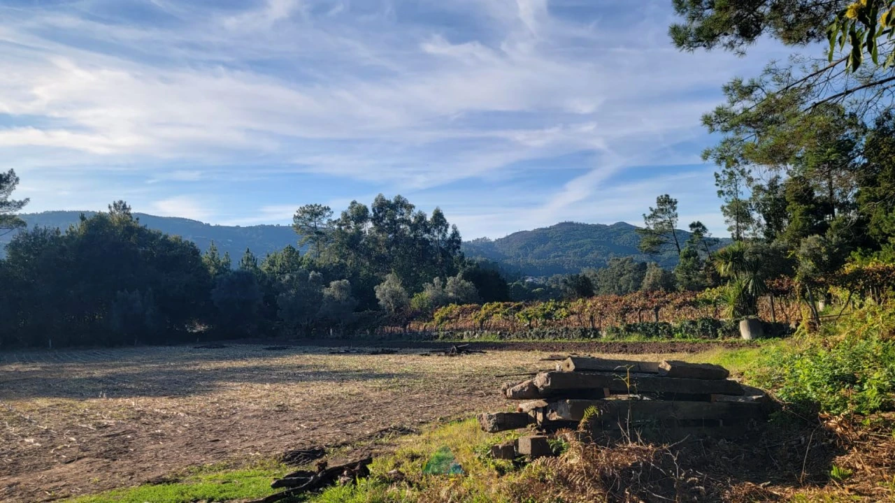 Terreno para Venda em Navió e Vitorino dos Piães Foto 13